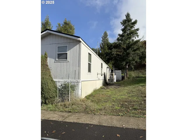 a white house that has tree in front of it