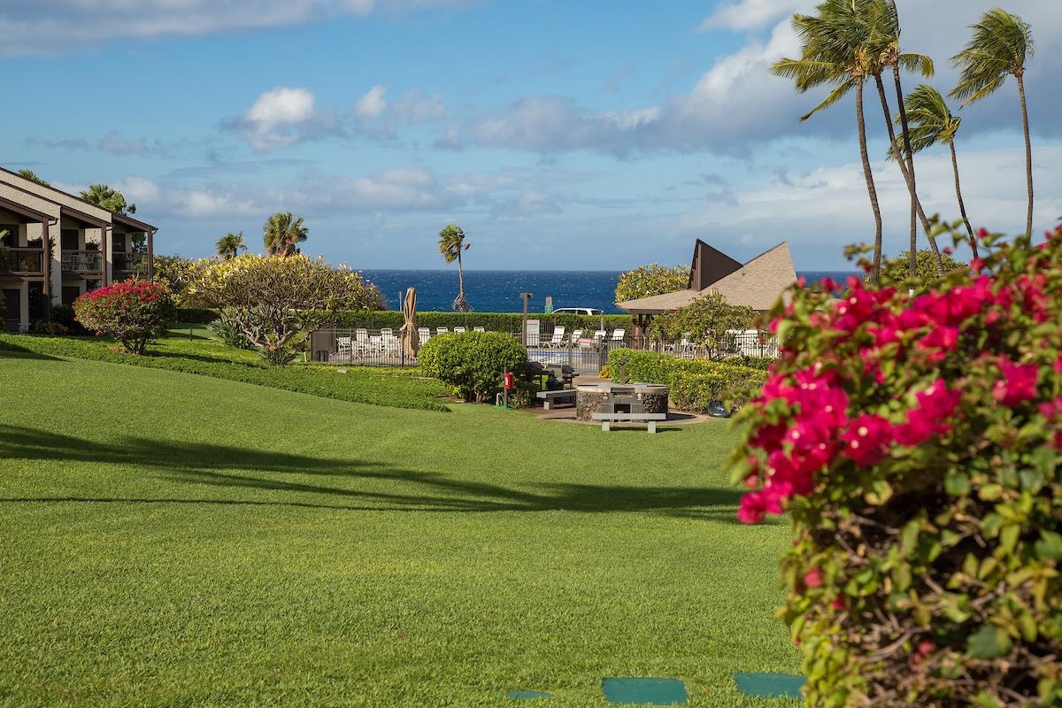 2737 South Kihei Road, Unit 126 Kihei, HI 96753 - Photo 21 of 25 a view of a house with a big yard and potted plants
