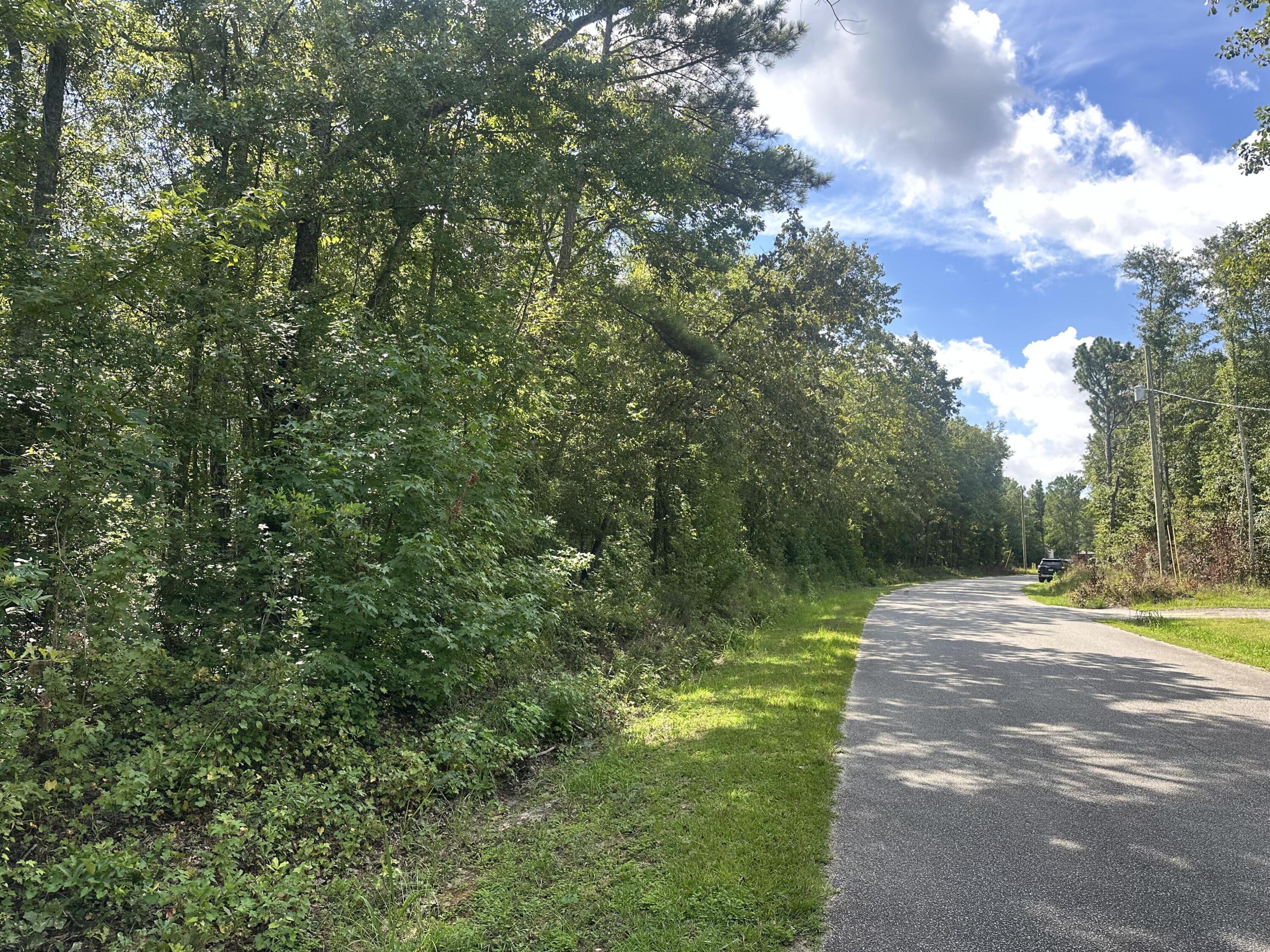 0 C 2167 Orangeburg, SC 29115 - Photo 4 of 7 4