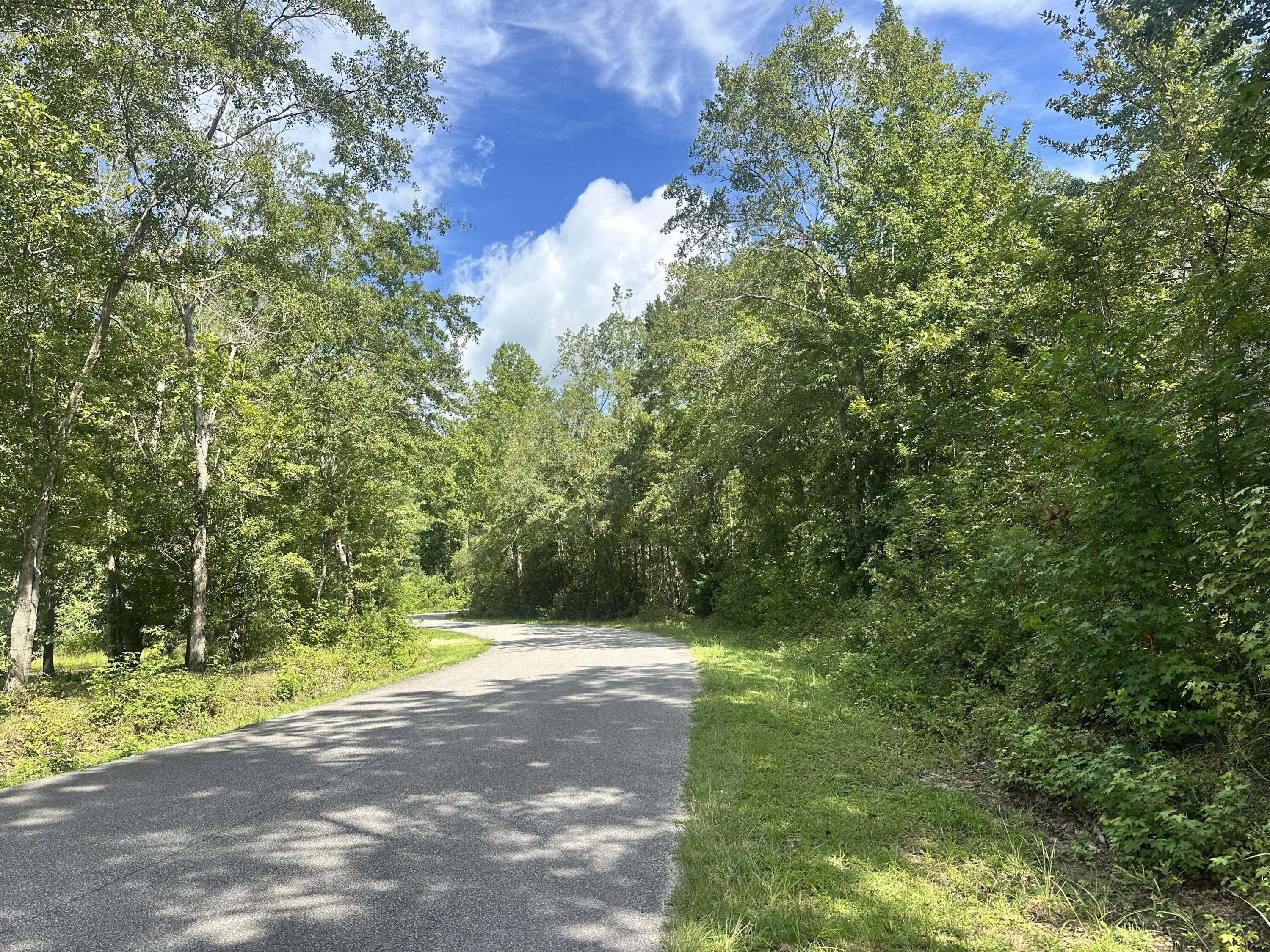 0 C 2167 Orangeburg, SC 29115 - Photo 6 of 7 6