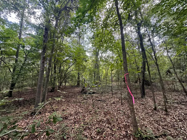 $29,900 | 0 C 2167, Orangeburg, SC 29115