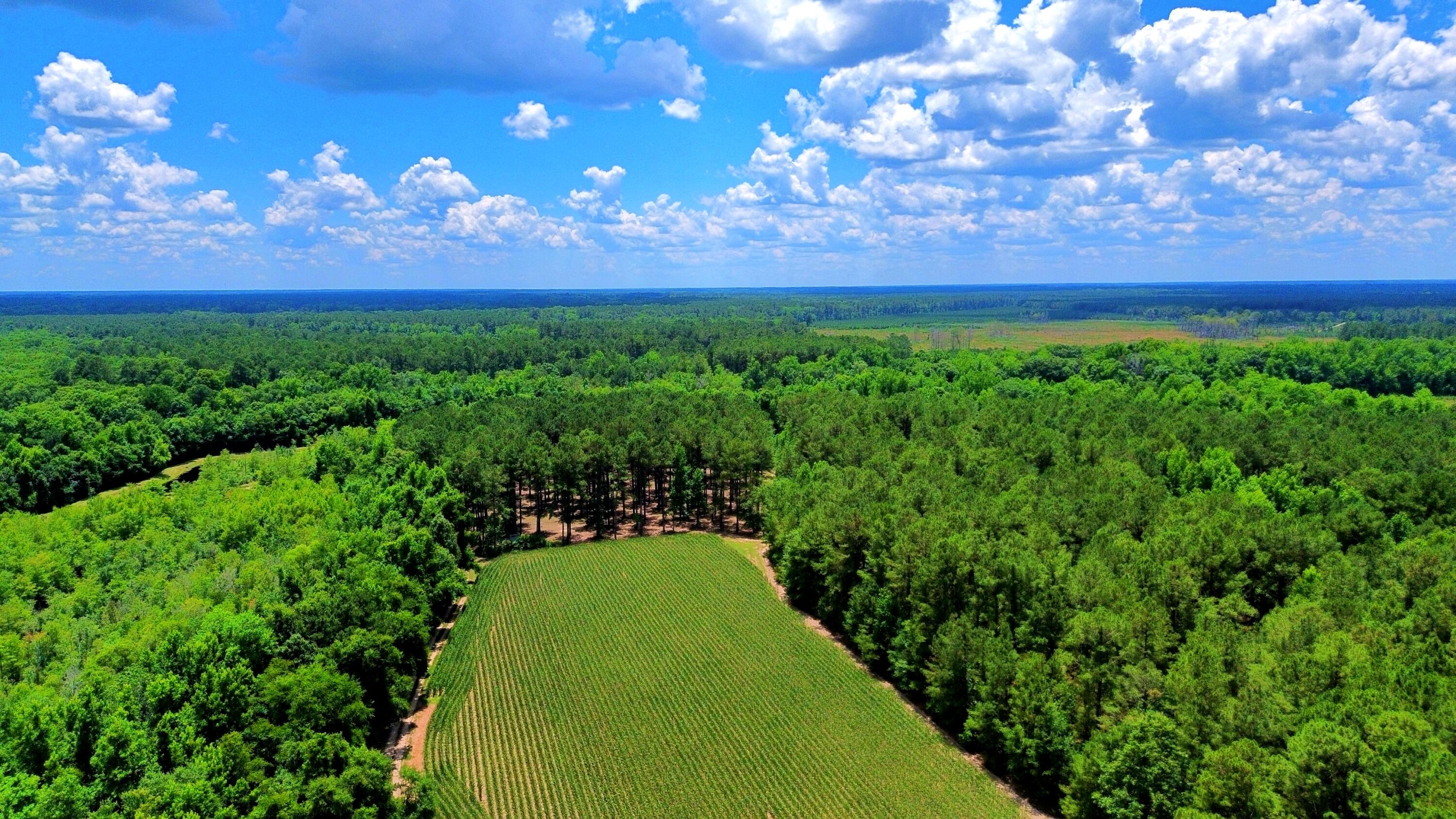1970 Cross Swamp Road Islandton, SC 29929 - Photo 107 of 150
