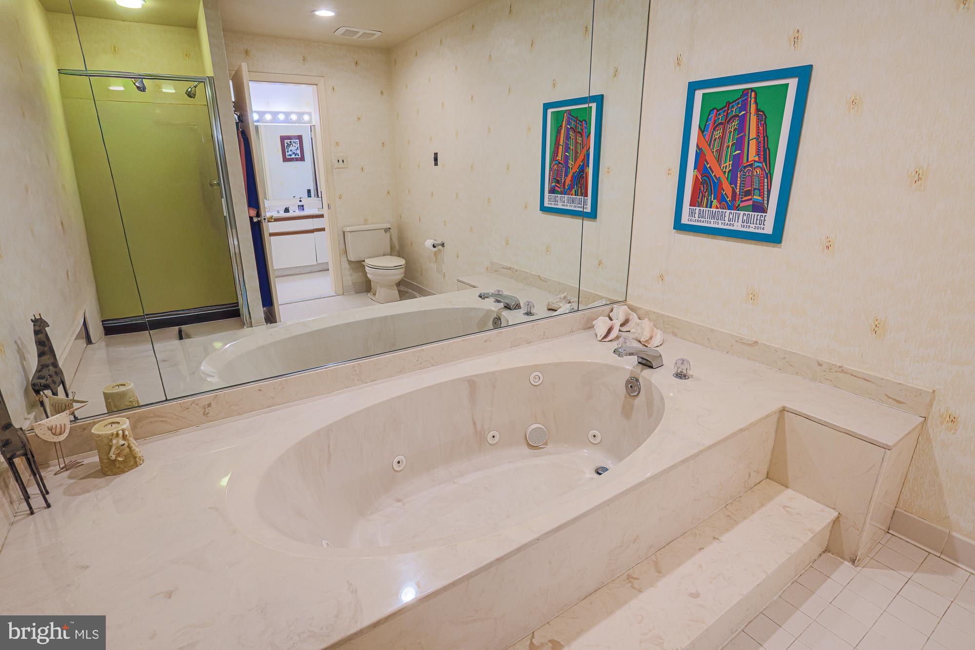 3041 Fallstaff Road, Unit 304D Baltimore, MD 21209 - Photo 30 of 39 a bathroom with a tub sink and mirror