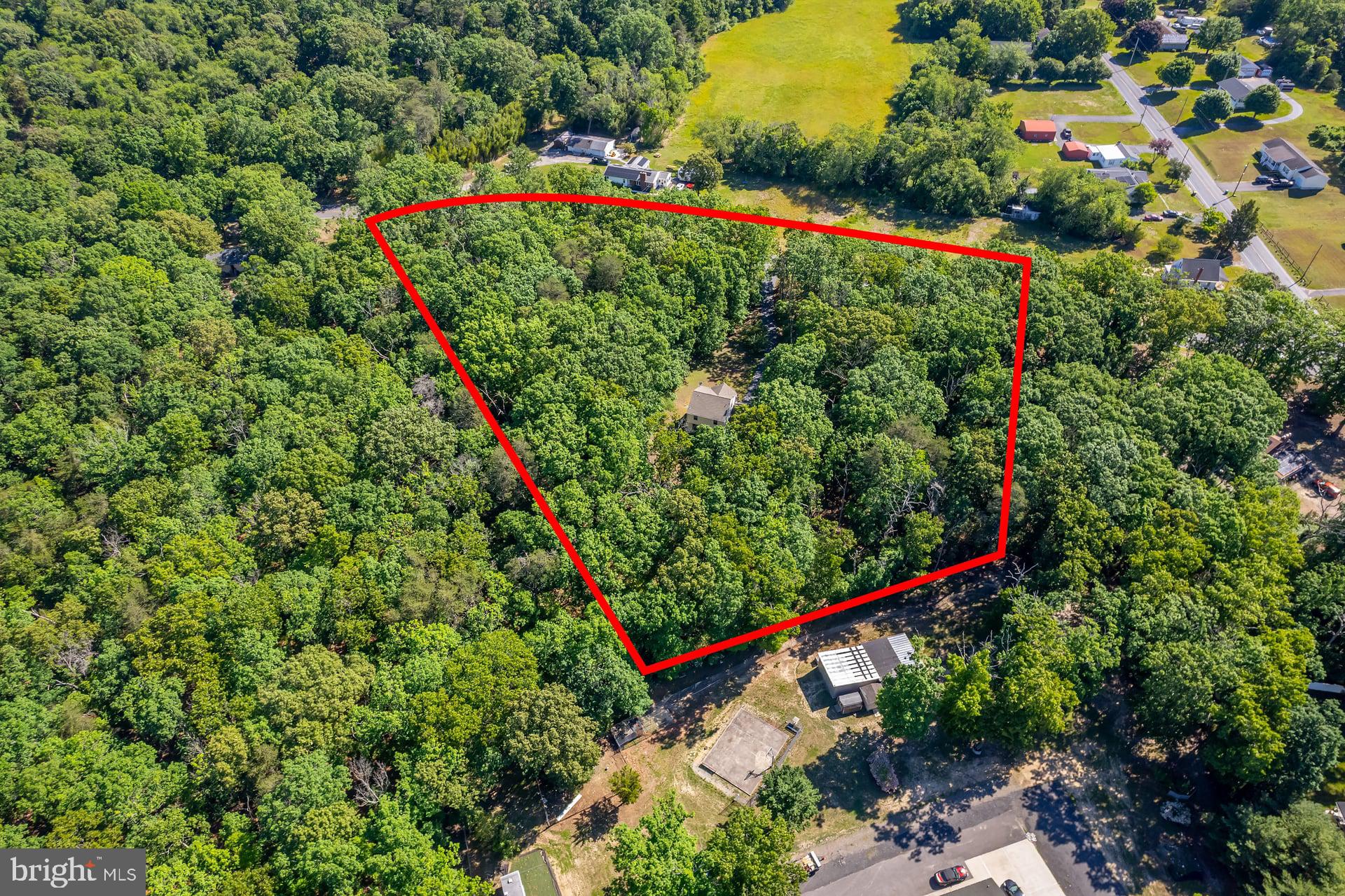 164 Clarks Pond Road Bridgeton, NJ 08302 - Photo 21 of 27 Secluded woodland retreat awaits you.