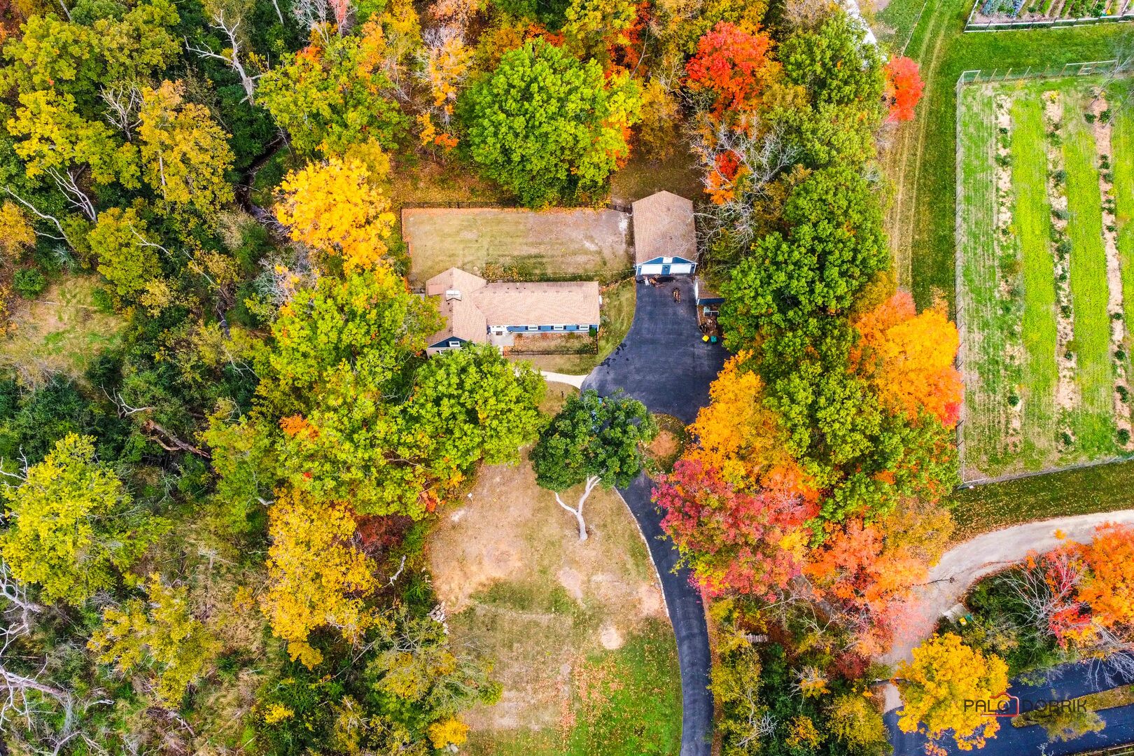 3386 Old McHenry Road Long Grove, IL 60047 - Photo 44 of 48 a picture of trees