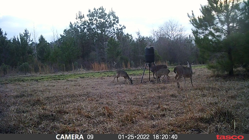 3838 Norman Road Hazlehurst, MS 39083 - Photo 11 of 69 Photo 11