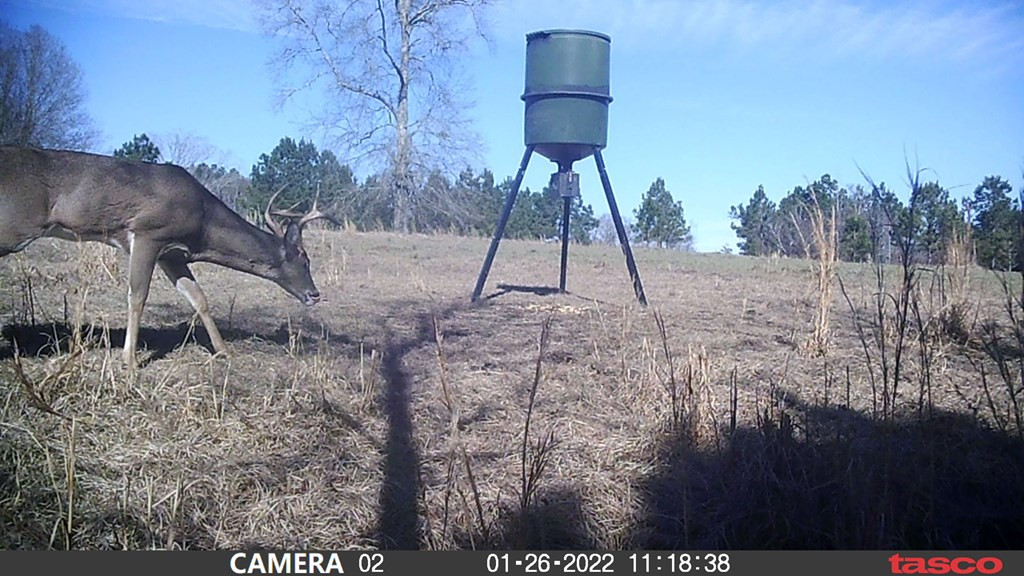 3838 Norman Road Hazlehurst, MS 39083 - Photo 12 of 69 Photo 12