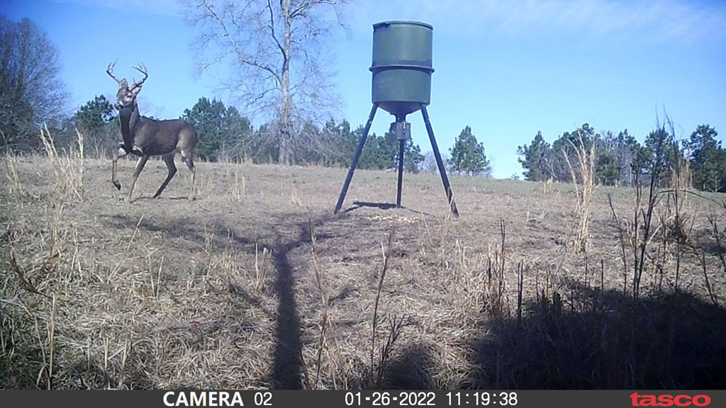 3838 Norman Road Hazlehurst, MS 39083 - Photo 13 of 69 Photo 13