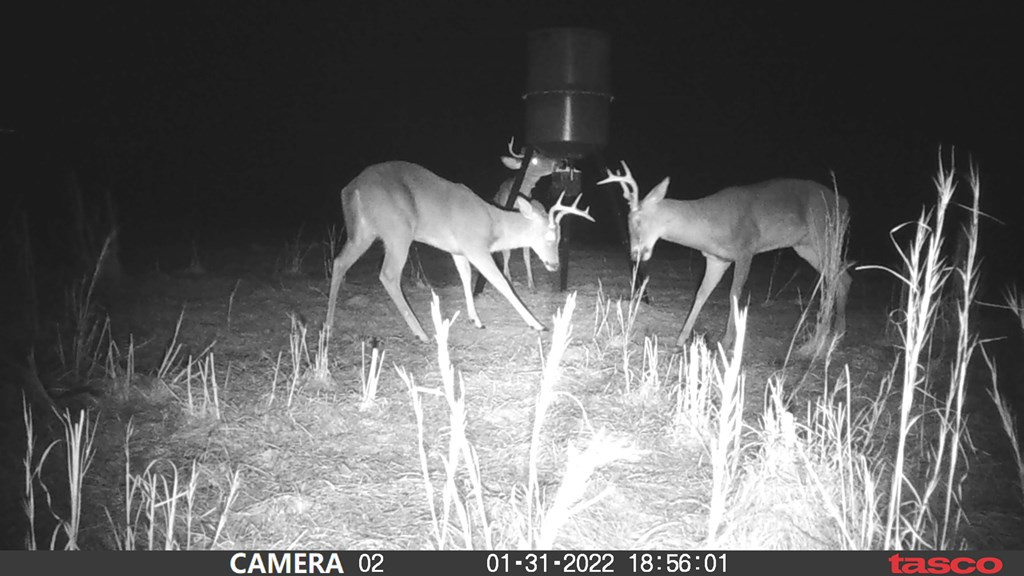 3838 Norman Road Hazlehurst, MS 39083 - Photo 14 of 69 Photo 14