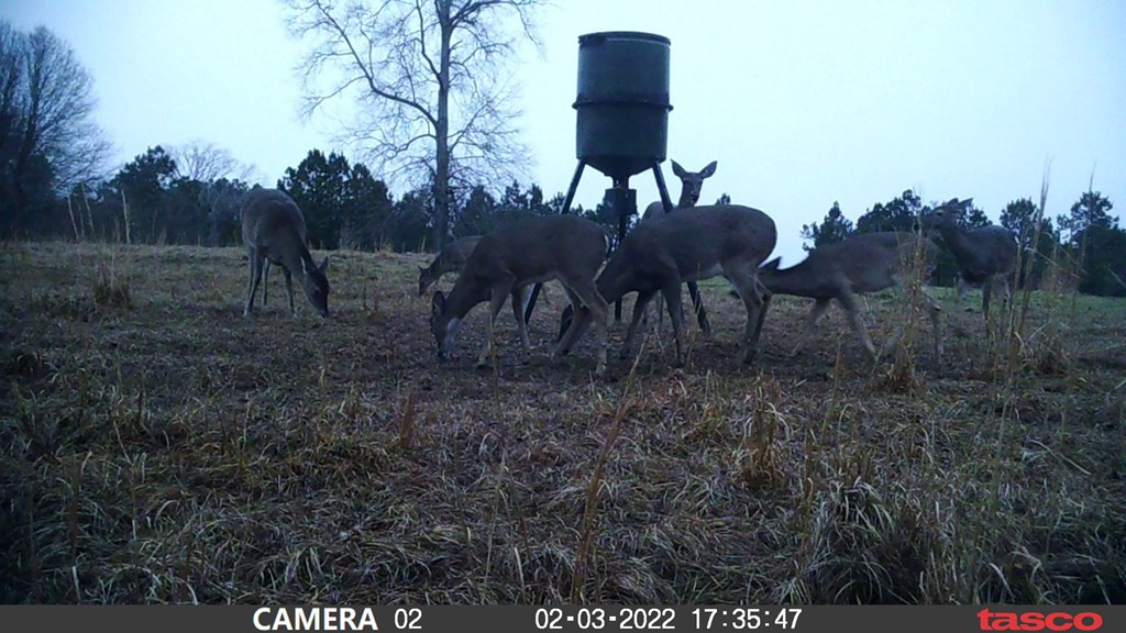 3838 Norman Road Hazlehurst, MS 39083 - Photo 15 of 69 Photo 15