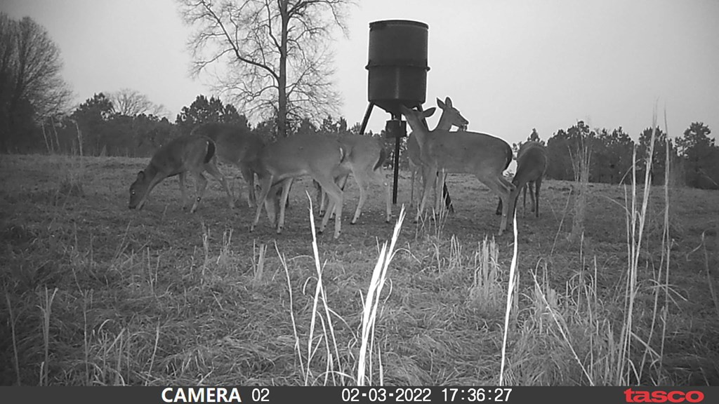 3838 Norman Road Hazlehurst, MS 39083 - Photo 17 of 69 Photo 17