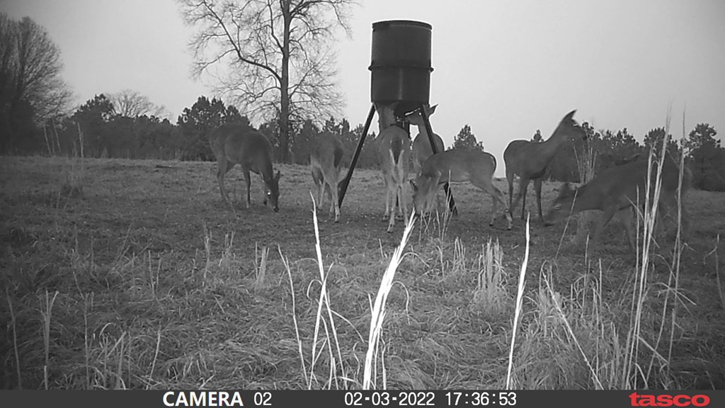 3838 Norman Road Hazlehurst, MS 39083 - Photo 18 of 69 Photo 18