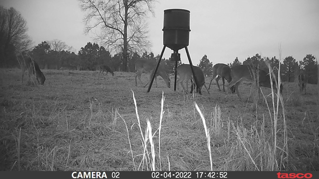 3838 Norman Road Hazlehurst, MS 39083 - Photo 19 of 69 Photo 19
