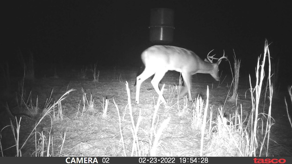 3838 Norman Road Hazlehurst, MS 39083 - Photo 20 of 69 Photo 20