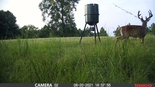 3838 Norman Road Hazlehurst, MS 39083 - Photo 2 of 69 Photo 2