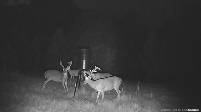 3838 Norman Road Hazlehurst, MS 39083 - Photo 23 of 69 Photo 23