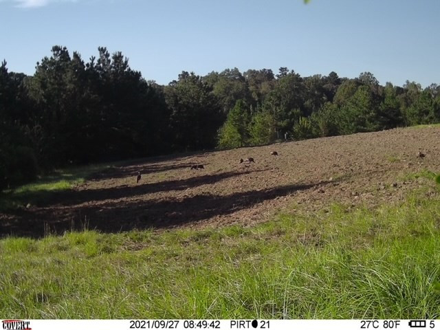 3838 Norman Road Hazlehurst, MS 39083 - Photo 24 of 69 Photo 24