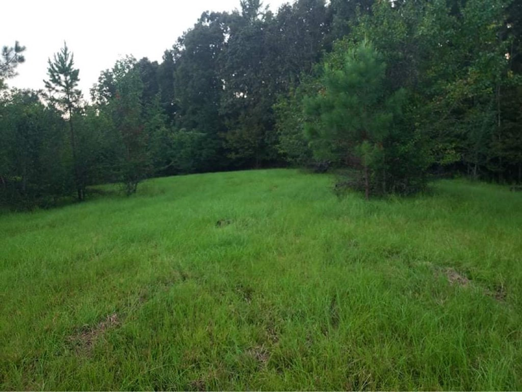 3838 Norman Road Hazlehurst, MS 39083 - Photo 26 of 69 Photo 26