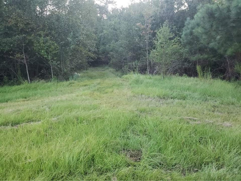 3838 Norman Road Hazlehurst, MS 39083 - Photo 28 of 69 Photo 28