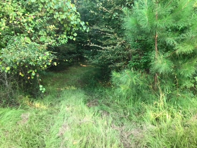 3838 Norman Road Hazlehurst, MS 39083 - Photo 29 of 69 Photo 29