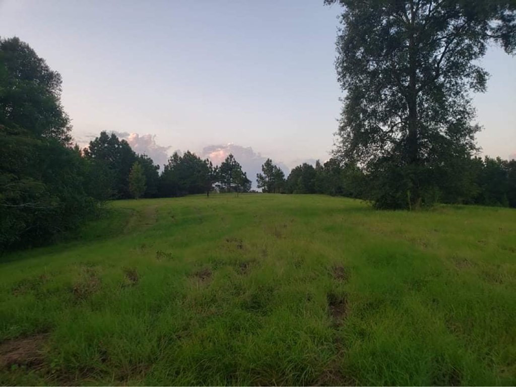 3838 Norman Road Hazlehurst, MS 39083 - Photo 30 of 69 Photo 30