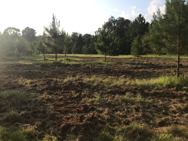 3838 Norman Road Hazlehurst, MS 39083 - Photo 31 of 69 Photo 31