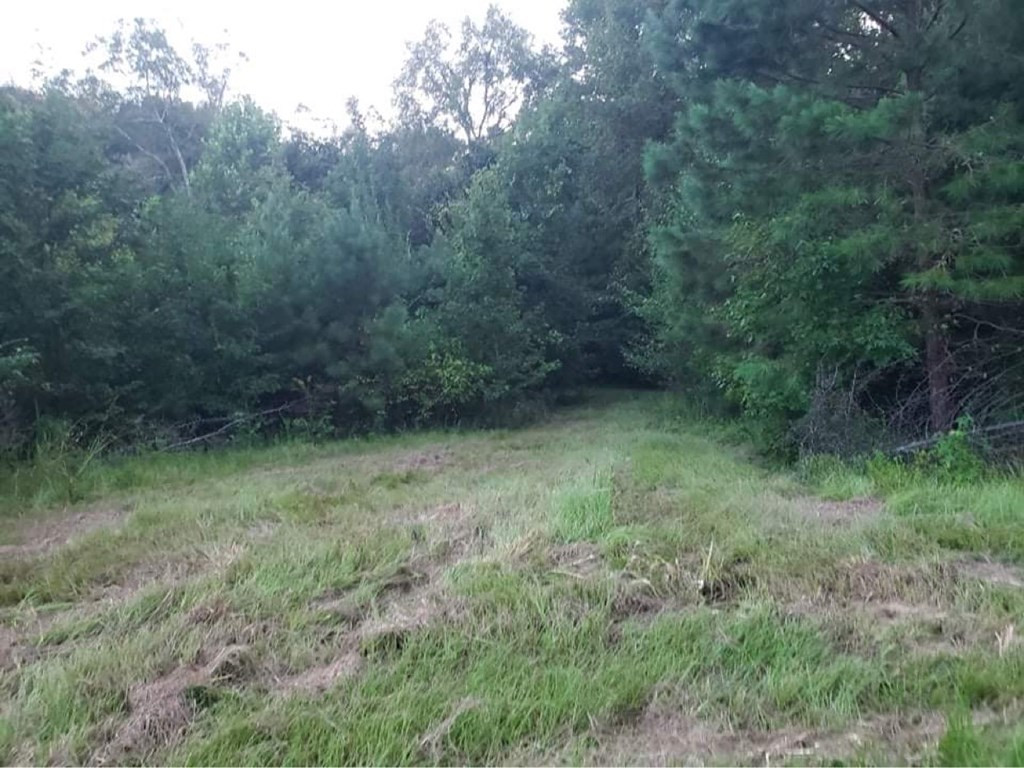 3838 Norman Road Hazlehurst, MS 39083 - Photo 32 of 69 Photo 32