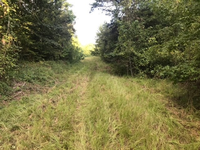 3838 Norman Road Hazlehurst, MS 39083 - Photo 33 of 69 Photo 33
