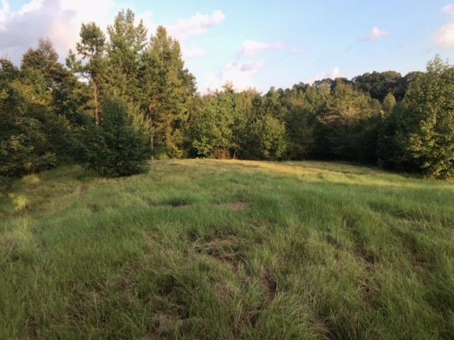 3838 Norman Road Hazlehurst, MS 39083 - Photo 34 of 69 Photo 34
