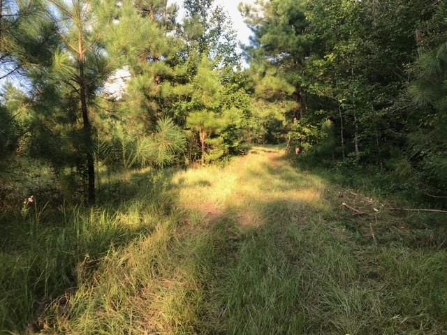 3838 Norman Road Hazlehurst, MS 39083 - Photo 35 of 69 Photo 35