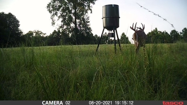 3838 Norman Road Hazlehurst, MS 39083 - Photo 36 of 69 Photo 36
