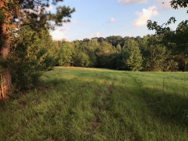 3838 Norman Road Hazlehurst, MS 39083 - Photo 37 of 69 Photo 37