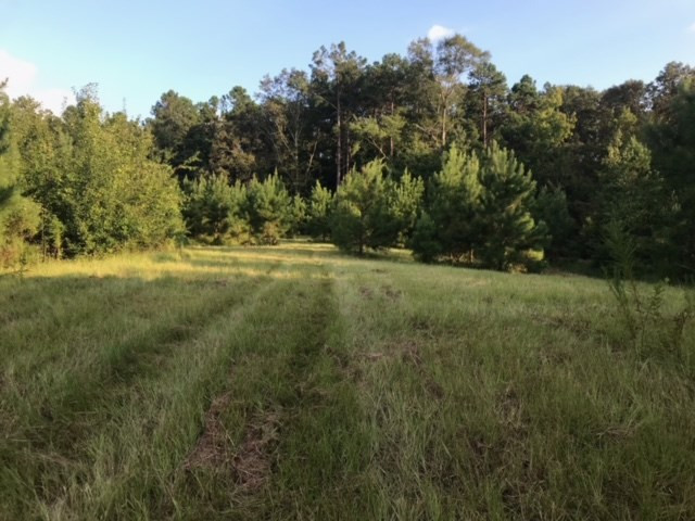 3838 Norman Road Hazlehurst, MS 39083 - Photo 38 of 69 Photo 38