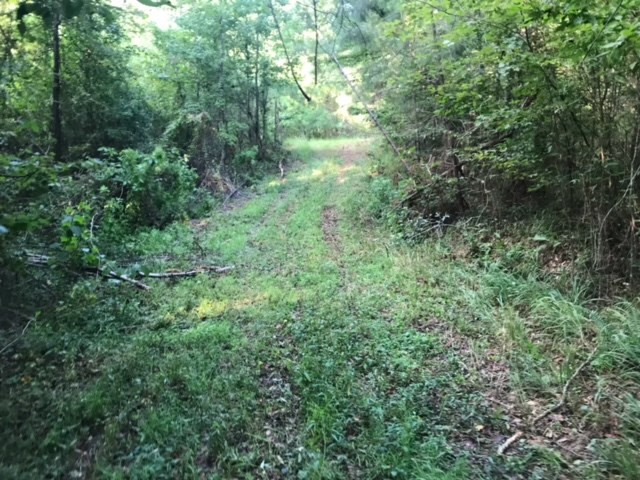3838 Norman Road Hazlehurst, MS 39083 - Photo 40 of 69 Photo 40