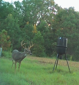 3838 Norman Road Hazlehurst, MS 39083 - Photo 4 of 69 Photo 4
