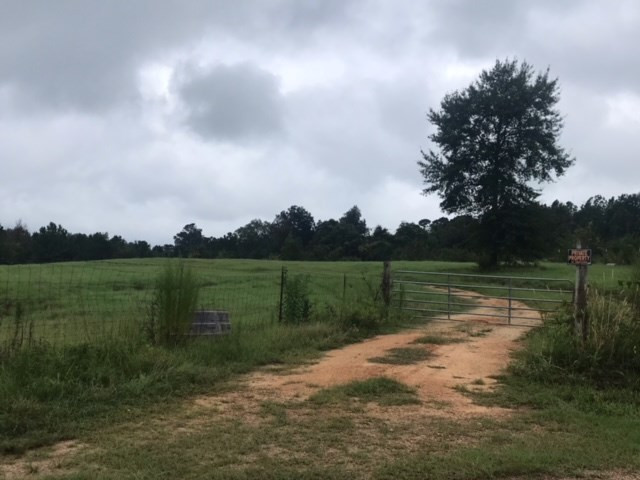 3838 Norman Road Hazlehurst, MS 39083 - Photo 47 of 69 Photo 47
