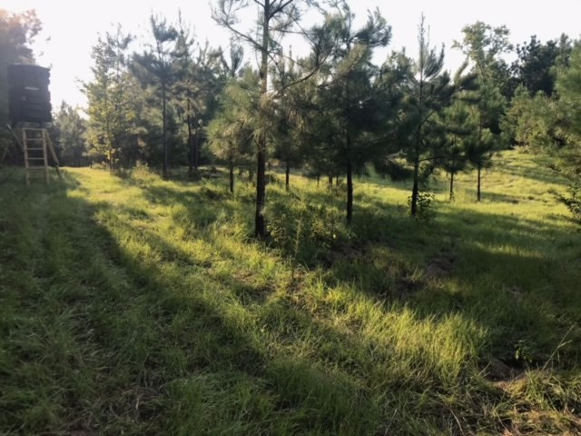 3838 Norman Road Hazlehurst, MS 39083 - Photo 49 of 69 Photo 49