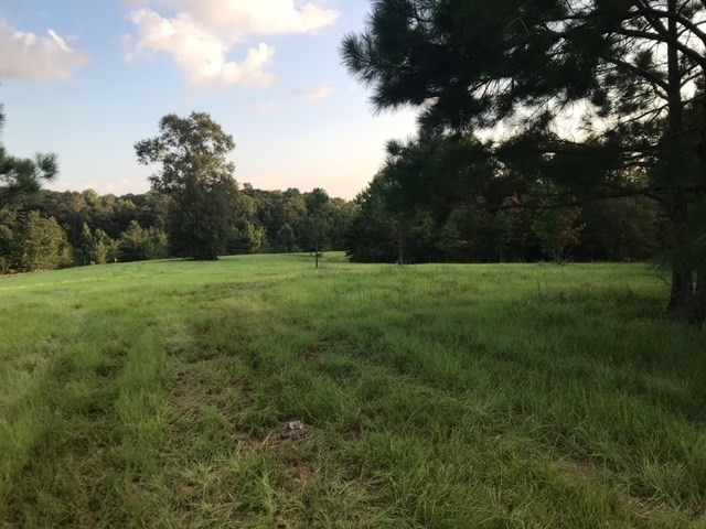 3838 Norman Road Hazlehurst, MS 39083 - Photo 50 of 69 Photo 50