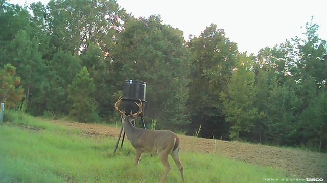 3838 Norman Road Hazlehurst, MS 39083 - Photo 5 of 69 Photo 5