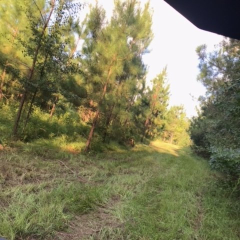 3838 Norman Road Hazlehurst, MS 39083 - Photo 51 of 69 Photo 51