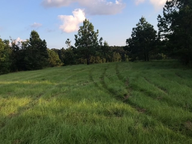 3838 Norman Road Hazlehurst, MS 39083 - Photo 53 of 69 Photo 53