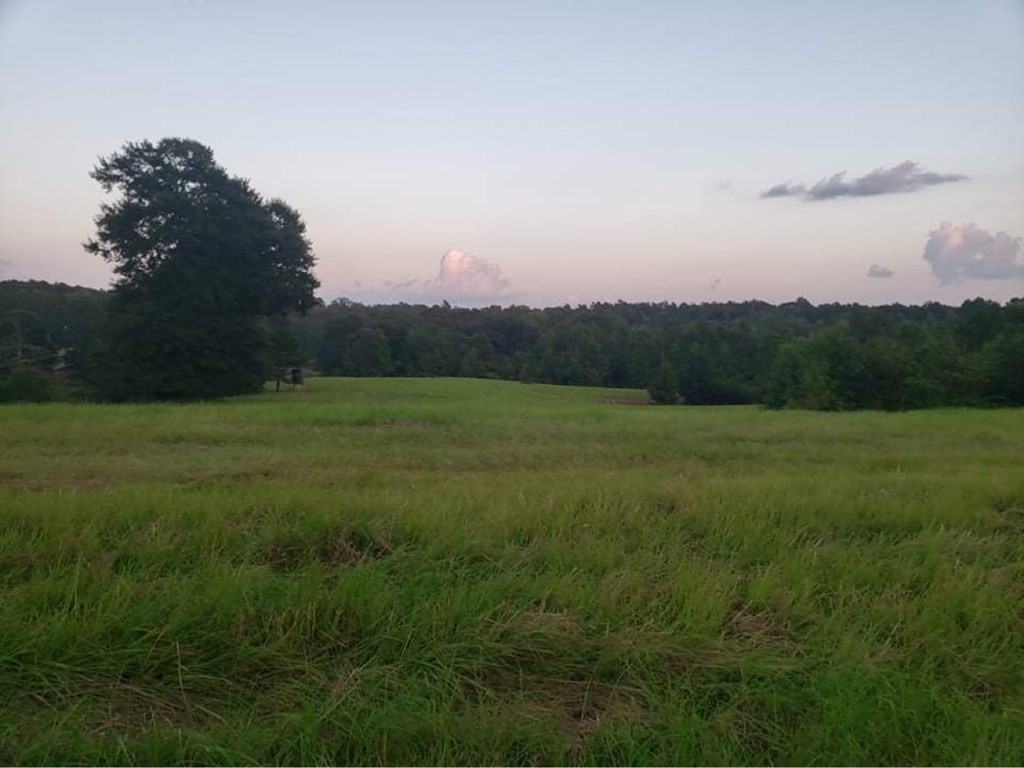 3838 Norman Road Hazlehurst, MS 39083 - Photo 54 of 69 Photo 54