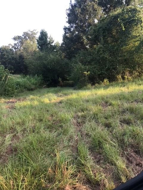 3838 Norman Road Hazlehurst, MS 39083 - Photo 55 of 69 Photo 55