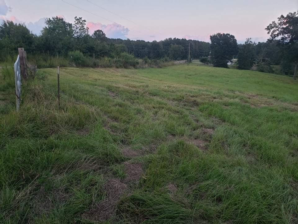 3838 Norman Road Hazlehurst, MS 39083 - Photo 56 of 69 Photo 56