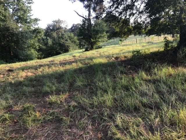 3838 Norman Road Hazlehurst, MS 39083 - Photo 57 of 69 Photo 57