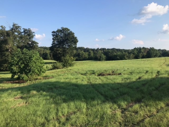 3838 Norman Road Hazlehurst, MS 39083 - Photo 58 of 69 Photo 58