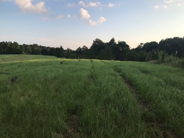 3838 Norman Road Hazlehurst, MS 39083 - Photo 59 of 69 Photo 59