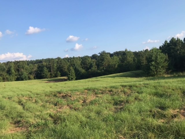 3838 Norman Road Hazlehurst, MS 39083 - Photo 60 of 69 Photo 60
