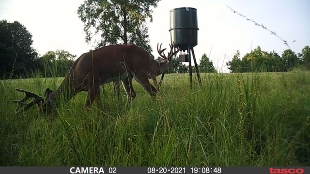 3838 Norman Road Hazlehurst, MS 39083 - Photo 6 of 69 Photo 6