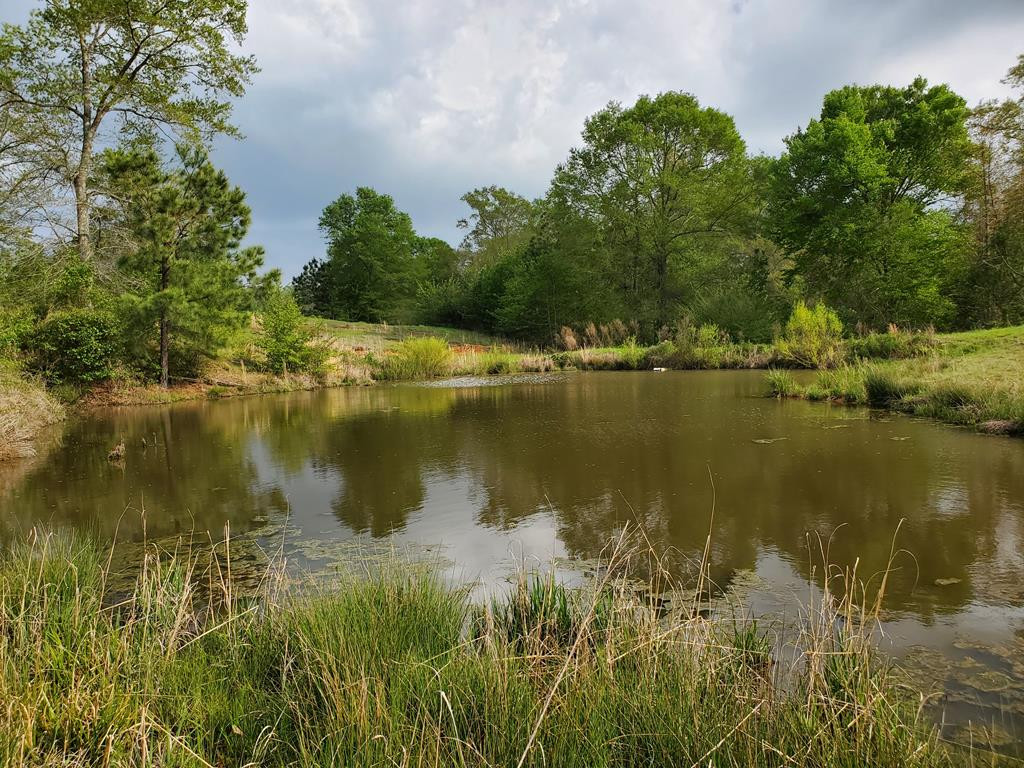 3838 Norman Road Hazlehurst, MS 39083 - Photo 65 of 69 Photo 65